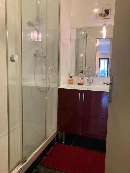 T3 - 62M2 - Parking Prive - Metro Apartment Toulouse Luaran gambar